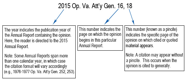 Graphic of a normal opinion citation.